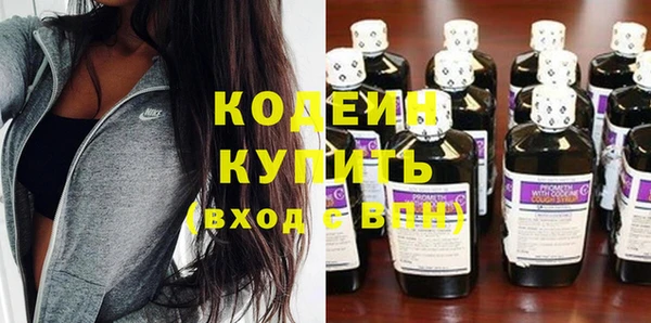 сатива Липки