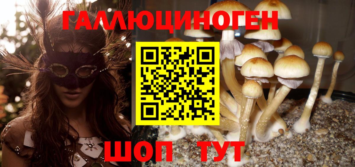 Галлюциногенные грибы Psilocybine cubensis Мелеуз
